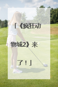 《疯狂动物城2》来了！