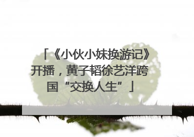 《小伙小妹换游记》开播，黄子韬徐艺洋跨国“交换人生”