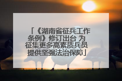 《湖南省征兵工作条例》修订出台 为征集更多高素质兵员提供坚强法治保障