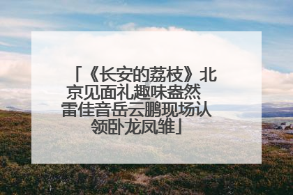 《长安的荔枝》北京见面礼趣味盎然 雷佳音岳云鹏现场认领卧龙凤雏