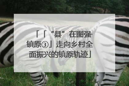 「“县”在图强·镇原③」走向乡村全面振兴的镇原轨迹