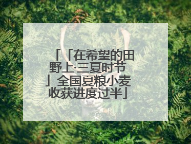 「在希望的田野上·三夏时节」全国夏粮小麦收获进度过半