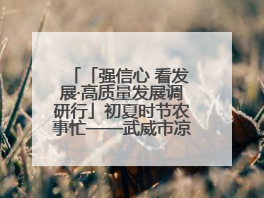 「强信心 看发展·高质量发展调研行」初夏时节农事忙——武威市凉州区推进高标准农田建设见闻