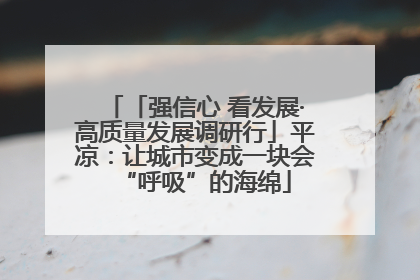 「强信心 看发展·高质量发展调研行」平凉：让城市变成一块会“呼吸”的海绵
