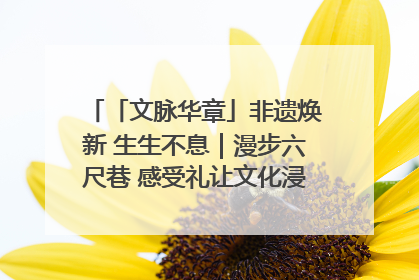 「文脉华章」非遗焕新 生生不息｜漫步六尺巷 感受礼让文化浸润的“巷”往生活