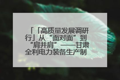 「高质量发展调研行」从“面对面”到“肩并肩”——甘肃全利电力装备生产制造项目一线见闻