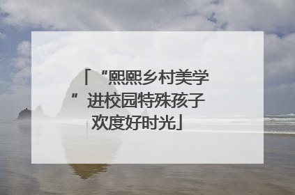 “熙熙乡村美学”进校园特殊孩子欢度好时光