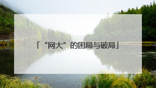“网大”的困局与破局