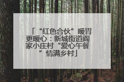 “红色合伙”暖胃更暖心：新城街道阎家小庄村“爱心午餐”情满乡村