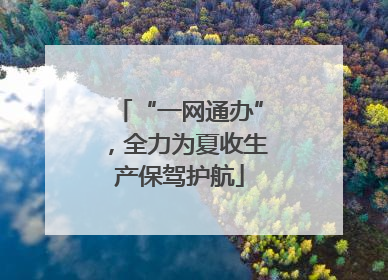 “一网通办”，全力为夏收生产保驾护航