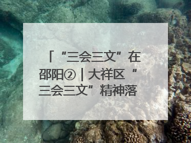 “三会三文”在邵阳②｜大祥区“三会三文”精神落地有声 以实干实绩助力区域高质量发展