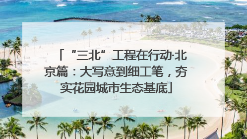 “三北”工程在行动·北京篇：大写意到细工笔，夯实花园城市生态基底