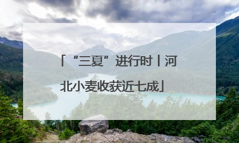 “三夏”进行时丨河北小麦收获近七成