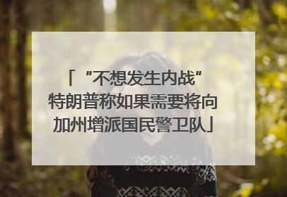 “不想发生内战” 特朗普称如果需要将向加州增派国民警卫队