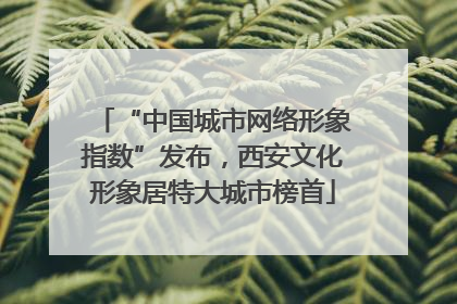 “中国城市网络形象指数”发布，西安文化形象居特大城市榜首