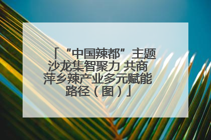 “中国辣都”主题沙龙集智聚力 共商萍乡辣产业多元赋能路径（图）
