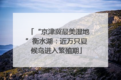 “京津冀最美湿地”衡水湖：近万只夏候鸟进入繁殖期