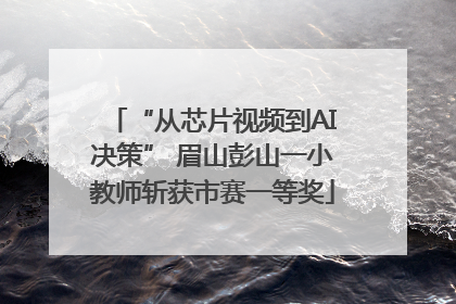 “从芯片视频到AI决策” 眉山彭山一小教师斩获市赛一等奖