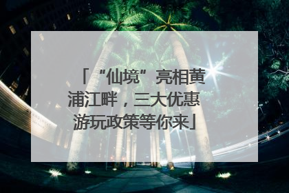 “仙境”亮相黄浦江畔，三大优惠游玩政策等你来