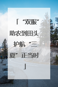 “双服”助农到田头 护航“三夏”正当时