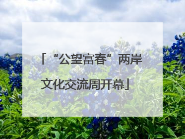“公望富春”两岸文化交流周开幕