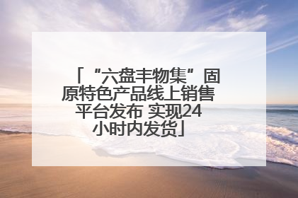 “六盘丰物集”固原特色产品线上销售平台发布 实现24小时内发货