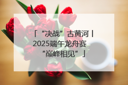 “决战”古黄河丨2025端午龙舟赛“巅峰相见”