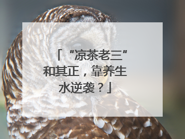 “凉茶老三”和其正，靠养生水逆袭？