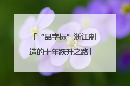 “品字标”浙江制造的十年跃升之路