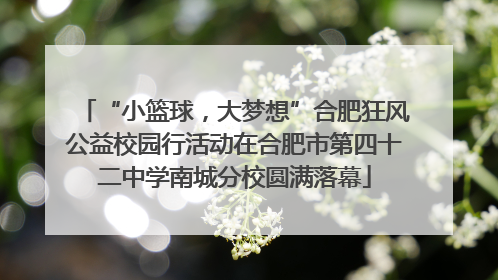 “小篮球，大梦想”合肥狂风公益校园行活动在合肥市第四十二中学南城分校圆满落幕