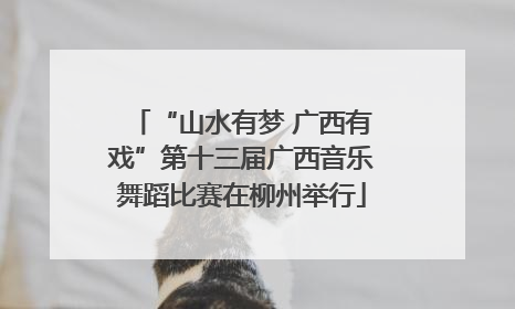 “山水有梦 广西有戏”第十三届广西音乐舞蹈比赛在柳州举行