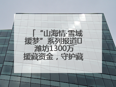 “山海情·雪域援梦”系列报道⑪ 潍坊1300万援藏资金，守护藏区群众健康“最后一公里”
