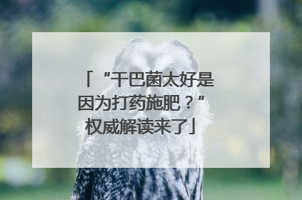 “干巴菌太好是因为打药施肥？”权威解读来了
