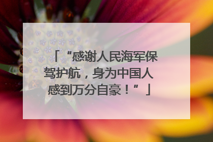 “感谢人民海军保驾护航，身为中国人感到万分自豪！”
