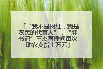 “我不是网红，我是农民的代言人”，“胖书记”王杰直播间每次助农卖货上万元