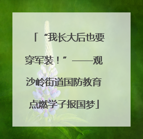 “我长大后也要穿军装！”——观沙岭街道国防教育点燃学子报国梦