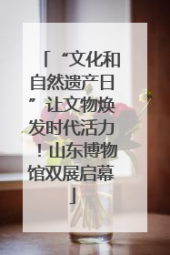 “文化和自然遗产日”让文物焕发时代活力！山东博物馆双展启幕