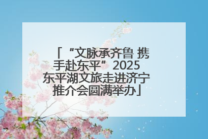 “文脉承齐鲁 携手赴东平”2025东平湖文旅走进济宁推介会圆满举办