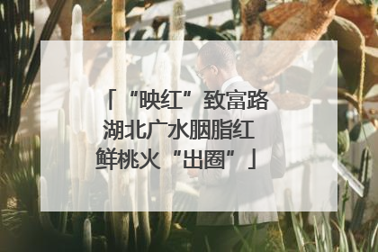 “映红”致富路 湖北广水胭脂红鲜桃火“出圈”
