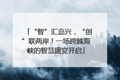 “智”汇嘉兴，“创”联两岸！一场跨越海峡的智慧盛宴开启