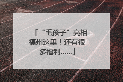 “毛孩子”亮相福州这里！还有很多福利……