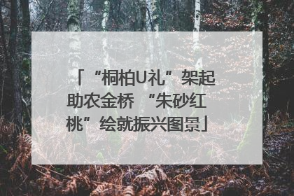 “桐柏U礼”架起助农金桥 “朱砂红桃”绘就振兴图景