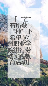 “芒”有所获 “种”下希望 滨州职业学院进行劳动实践教育活动