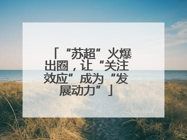 “苏超”火爆出圈，让“关注效应”成为“发展动力”