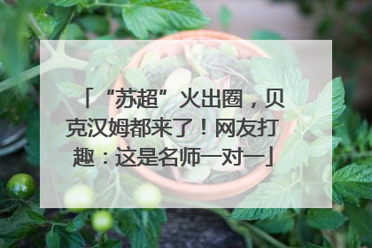 “苏超”火出圈，贝克汉姆都来了！网友打趣：这是名师一对一