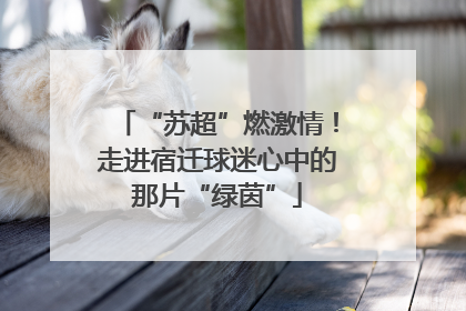 “苏超”燃激情！走进宿迁球迷心中的那片“绿茵”