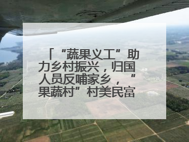 “蔬果义工”助力乡村振兴，归国人员反哺家乡，“果蔬村”村美民富香飘远近