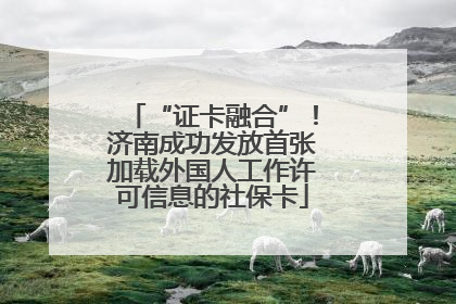 “证卡融合”！济南成功发放首张加载外国人工作许可信息的社保卡