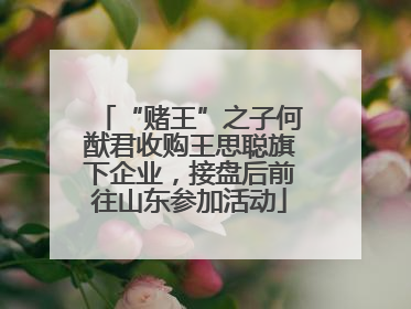 “赌王”之子何猷君收购王思聪旗下企业，接盘后前往山东参加活动