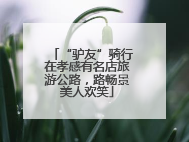 “驴友”骑行在孝感有名店旅游公路，路畅景美人欢笑